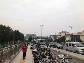 张江街头爆料案件最新,警方全力追查真相  第1张 张江街头爆料案件最新,警方全力追查真相  第1张